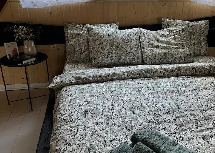 Shalash 1 펜션 Velyki Lazy
